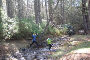 Runners crossing Beaver Creek Watoga Mountain Challenge