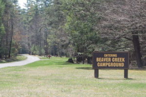 Sign Entrance to Beaver Creek Campground Watoga State Park