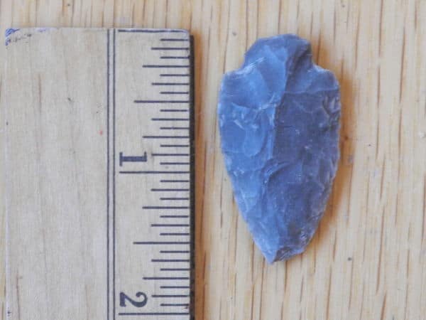 1-5/8 inch arrowhead found at Watoga State Park. Ken Springer is illustrating the length of the point. Photo by Ken Springer, 2018.