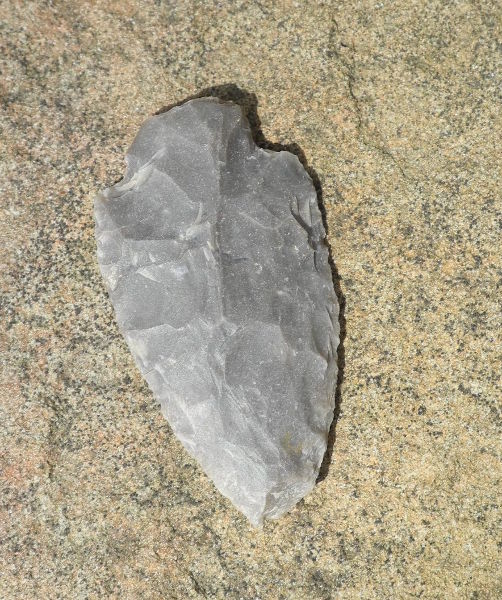 Arrowhead found at Watoga on the Monongaseneka Trail, 2018. Photo by Ken Springer.