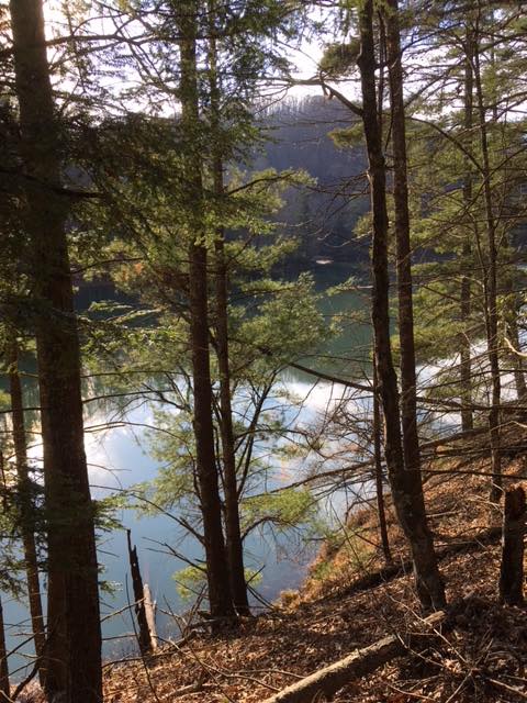 Naturalist activities by Kayla Bowyer continue this week at Watoga State Park.