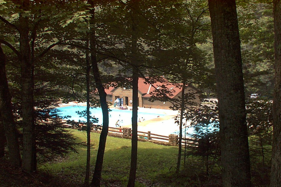 Roadside perspective of the Watoga State Park Swimming Pool before trees were thinned to allow more sunlight. | Watoga Sate Park. | 📸: @john.c.dean