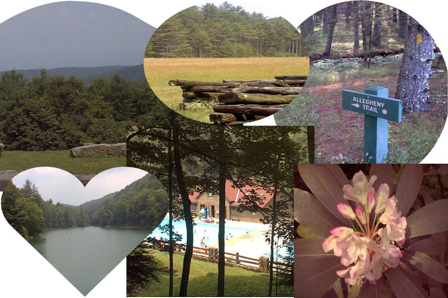 A few of the roads Various points of interest at Watoga State Park, including a path "less traveled." Photos include views of TM Cheek Memorial, the airstrip near the Beaver Creek Campground, the wooded Allegheny Trail, Watoga Lake, the swimming pool and a rhodendrom bloom. Photo collage by John C. Dean.