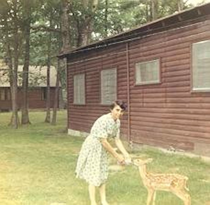 My mother taught us how to feed Freckles from a baby bottle while growing up at Watoga. Circa 1967. Photographer unknown.