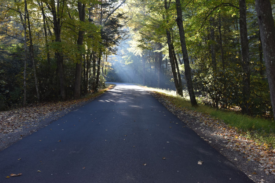 Some things never change at Watoga. These early morning rays are near the Island Lick Cabin area and Bear Pen Trail. Views such as these near the Island Lick Cabin area and Bear Pen Trail. 📸: John C. Dean, October 7, 2020.