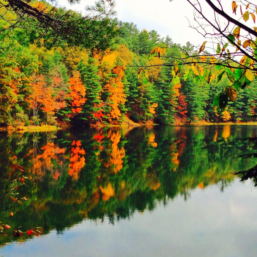 Tall tees of green, red, orange and yellow are captured in a reflection on Watoga Lake in the Fall. Number one on many Top 10 Lists is the 11-acre Watoga Lake. Photo courtesy of Tana Shifflett - Facebook.