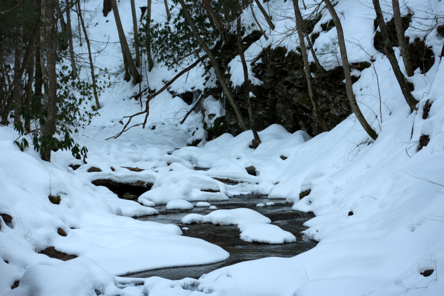 A fresh coating of snow during a Christmas scene at Watoga lines the banks of a mountain stream. During Christmas at Watoga, the author and his brother encountered scenes such as this near the Island Lick Run Cabin area. Photo by Stanley Clark©