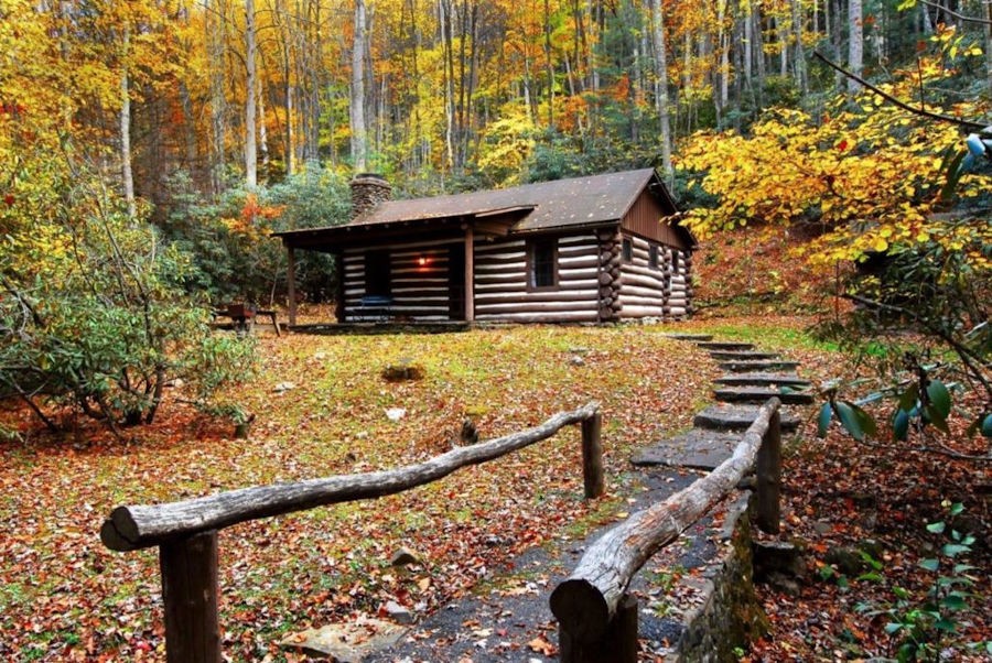 An array of fall colors presents itself up a stone walkway leading to a mountain cabin at Watoga State Park.Framed ever so perfectly by fall's foliage is a cabin built by the Civilian Conservation Corps in the 1930s. Photo by the Watoga State Park Foundation©.