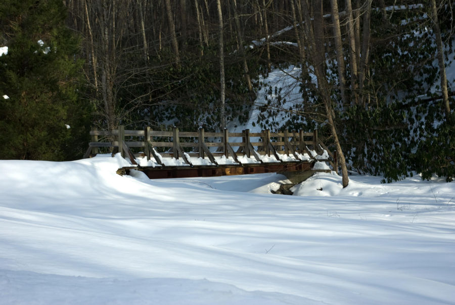 The Brooks Memorial Arboretum leading to trails at Watoga is encased in snow. No footprints can be seen in the snow in this winter scene. Photo by Stanley Clark©.