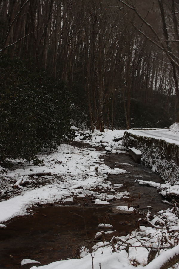 A curvy mountain road along Island Creek depicts rocks covered with stone. The retaining wall was built by the Civilian Conservation Corps in the early 1930s. Photographer Angela Hill© commented on this scene that "it just seemed like a magical place."