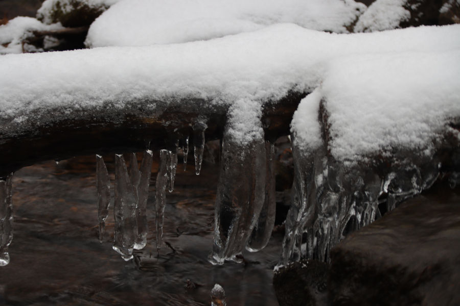 Photo captures an icy scene along the stream on Dragon Draft Trail on a chilly day at Watoga State Park. Photo by Angela Hill©.