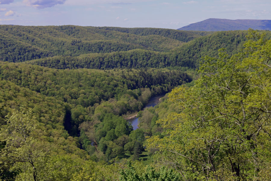 The view from Monongaseneca Trail.