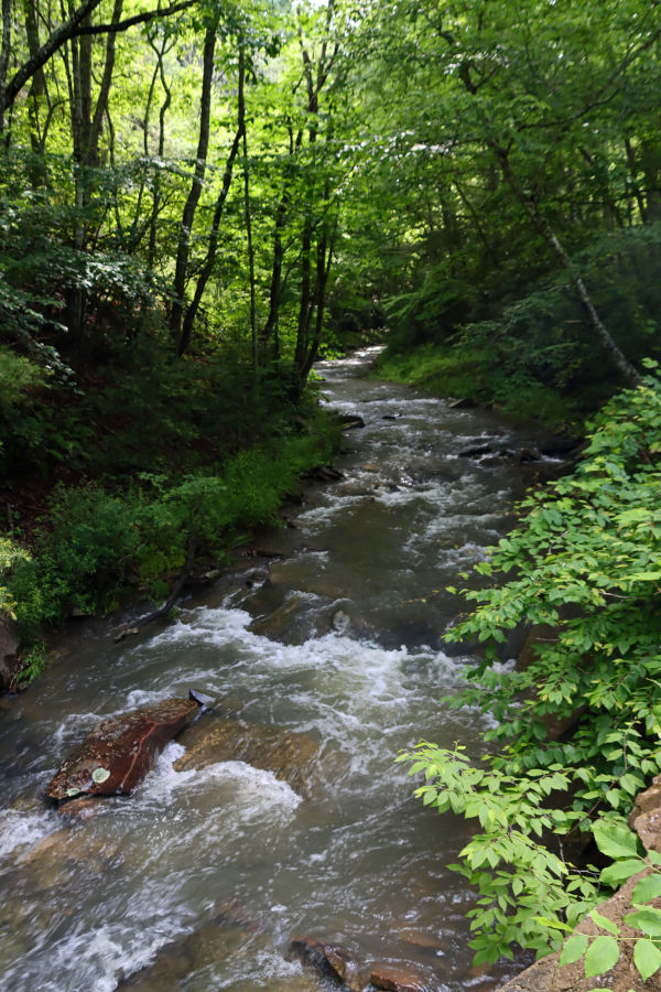 Ah, the sights and sounds of Watoga State Park as presented from a photographer's lens.