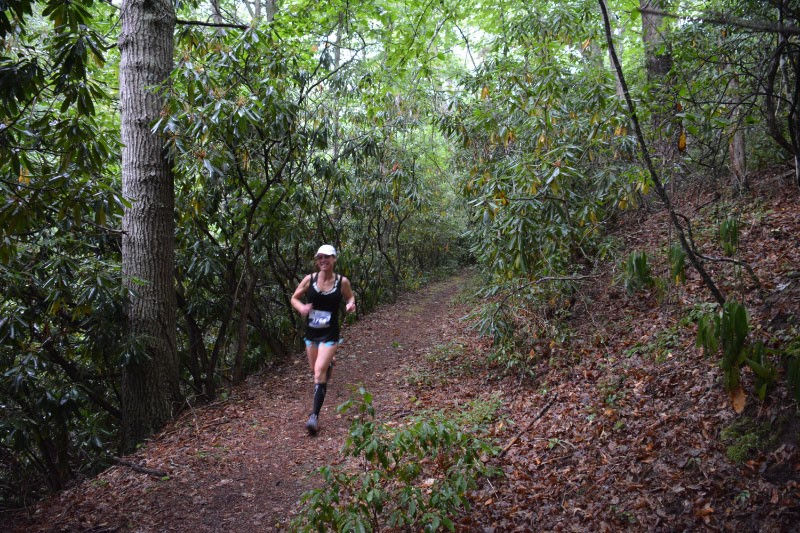 Mountain Trail Challenge Runners go by lush ferns along the course.