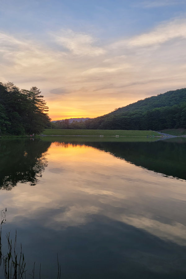 Evening sunsets can be quite spectacular in the summertime at Watoga Lake. Just one of many canopies of trees within the park. ©Donna Dilley.