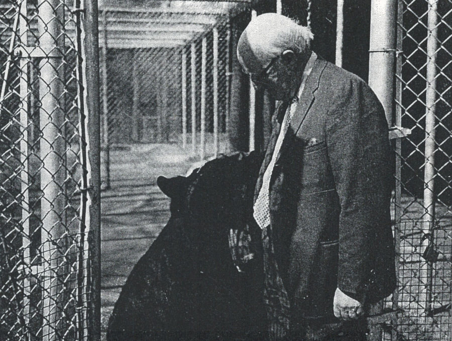 The superintendent of Watoga greet a pet black bear at the park where he, park staff and guests built an unforgettable bond with the memorable pet bear, aptly named Tog for "Watoga."